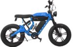 20 Inch Fat Tire E-Bike  City and Off road